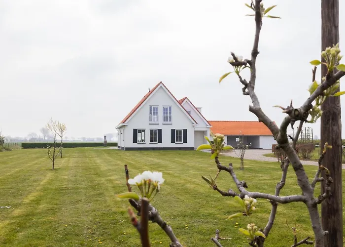 Belvedere Groede