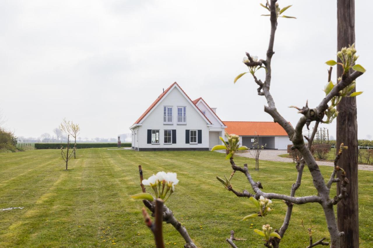 Belvedere * Groede